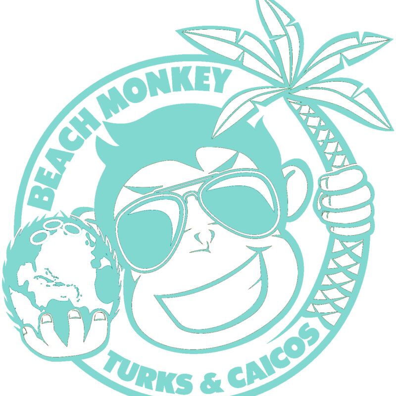 BEACH MONKEY LIFE TURQUOISE PATCH LOGO Thumbnail
