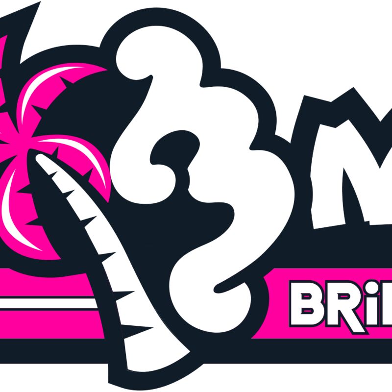 BRIDGEHAMPTON BEACH MONKEY LIFE MG Thumbnail