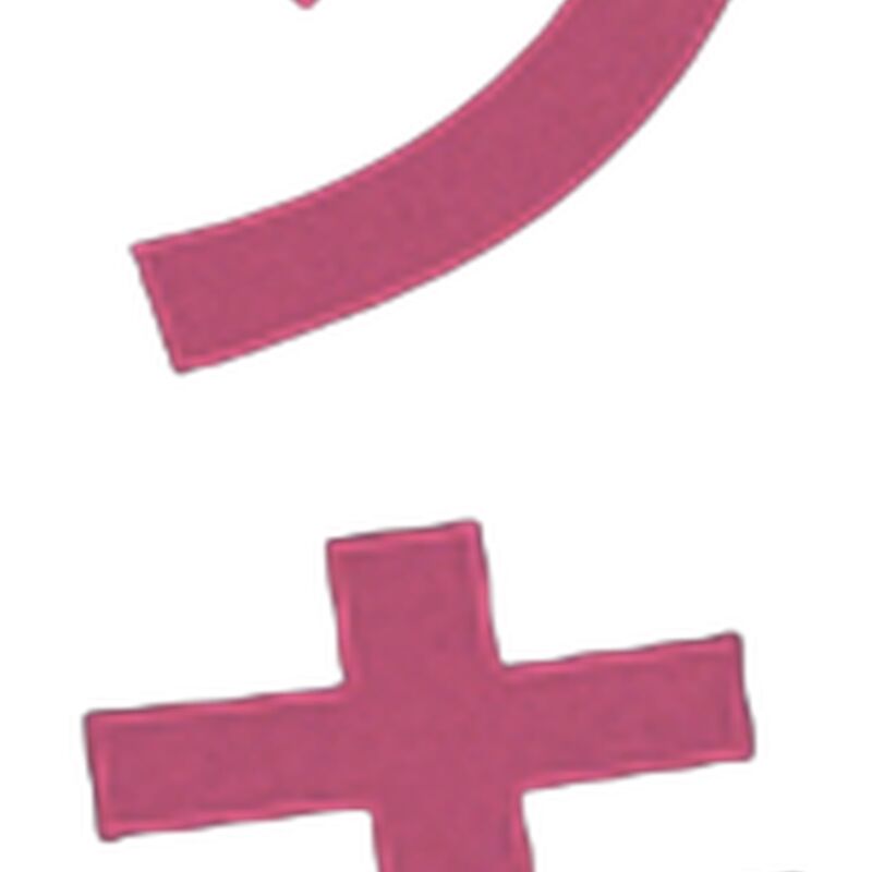 BEACH MONKEY LIFE MADE IN JAPAN26 VERTICAL PINK Thumbnail