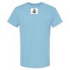 4800 - Best Value 100% Cotton T-Shirt Thumbnail