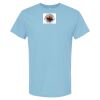 4800 - Best Value 100% Cotton T-Shirt Thumbnail
