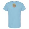 4800 - Best Value 100% Cotton T-Shirt Thumbnail