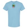 4800 - Best Value 100% Cotton T-Shirt Thumbnail