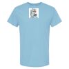 4800 - Best Value 100% Cotton T-Shirt Thumbnail