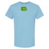 4800 - Best Value 100% Cotton T-Shirt Thumbnail