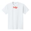 PC450 - Port and Company Fan Favorite Tee  Thumbnail