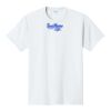 PC450 - Port and Company Fan Favorite Tee  Thumbnail