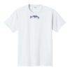 PC450 - Port and Company Fan Favorite Tee  Thumbnail
