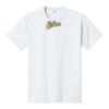 PC450 - Port and Company Fan Favorite Tee  Thumbnail